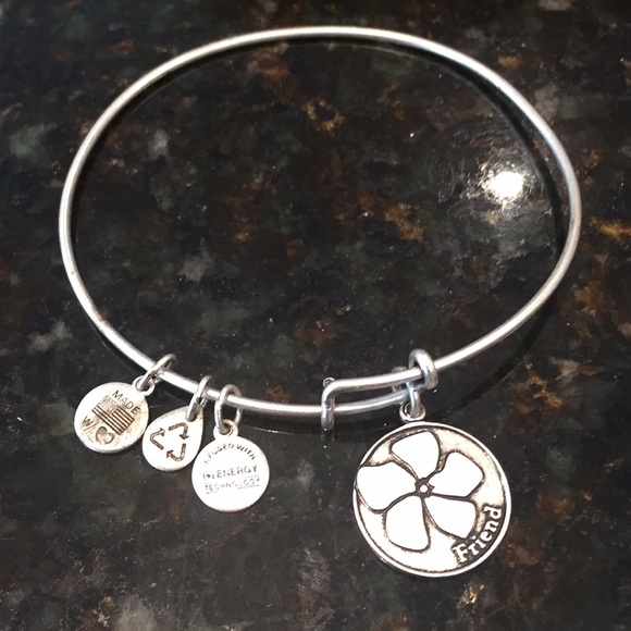 Alex and Ani Jewelry - Alex and Ani Friend Bracelet